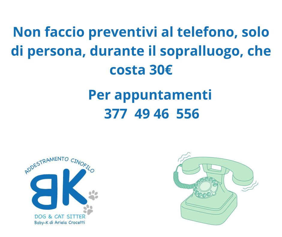Non faccio preventivi al telefono solo di persona durante il sopralluogoche costa 30