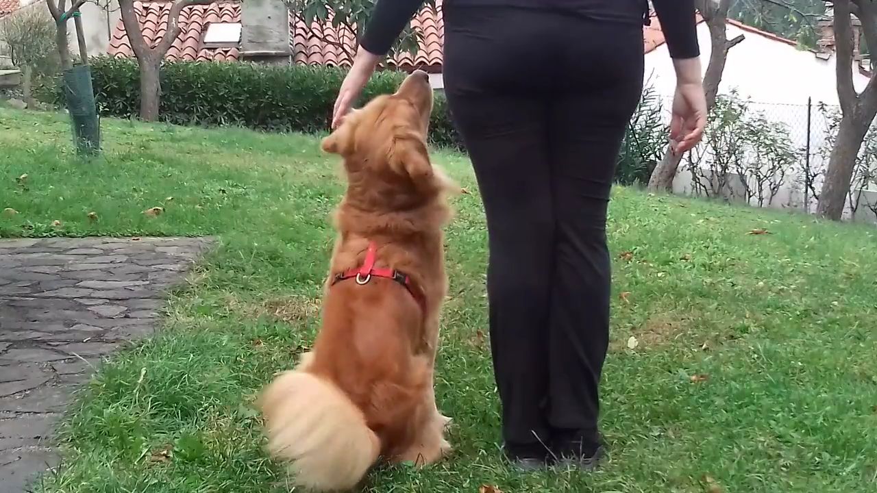 VideoCapture 20190808-161926