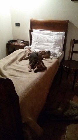 albergo