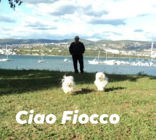 ciao fiocco