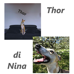 thorpersito